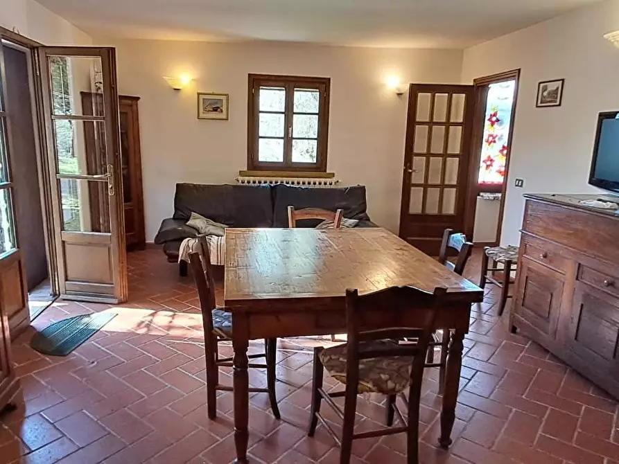 Immagine 11 di Casa colonica in vendita  a Montescudaio