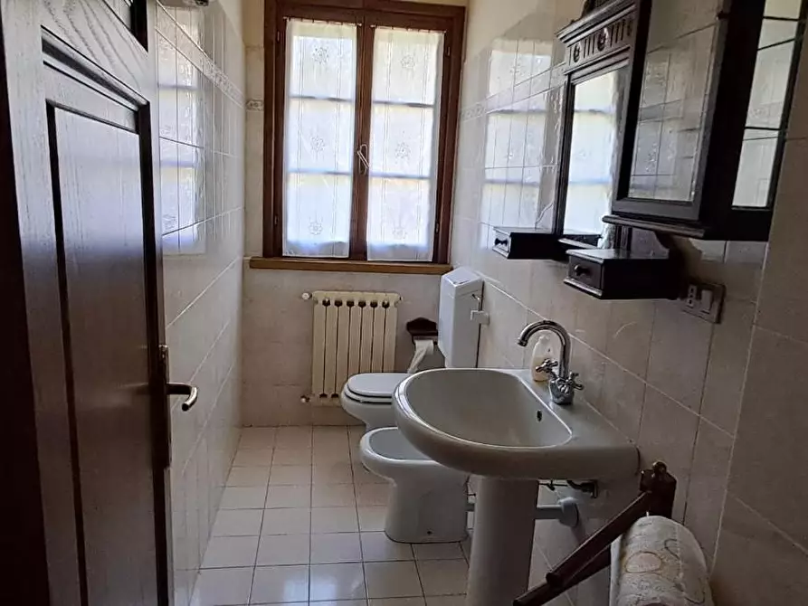 Immagine 9 di Casa colonica in vendita  a Montescudaio