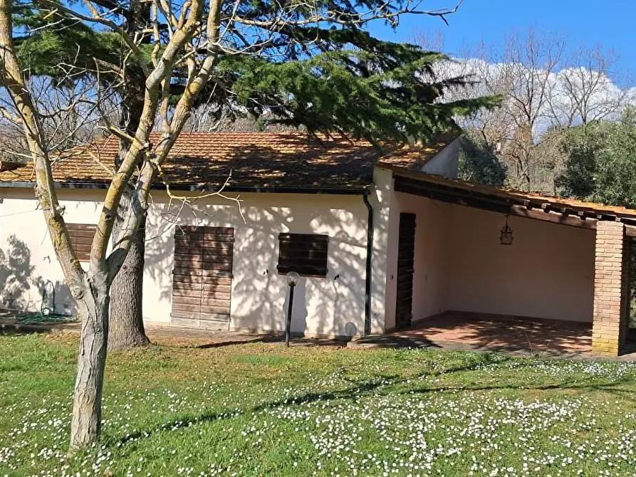 Immagine 13 di Casa colonica in vendita  a Montescudaio