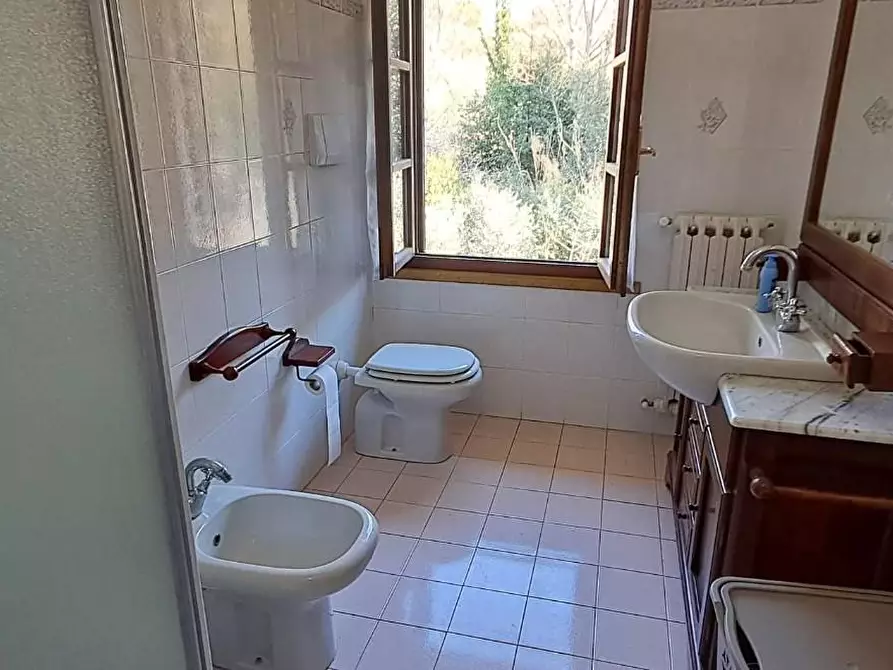 Immagine 18 di Casa colonica in vendita  a Montescudaio