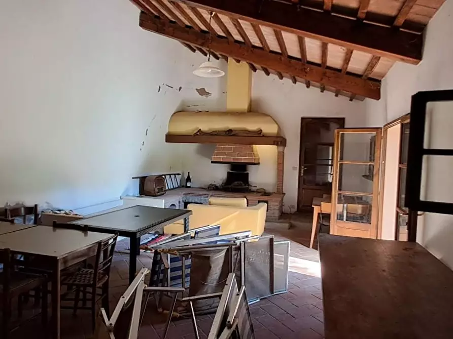 Immagine 27 di Casa colonica in vendita  a Montescudaio
