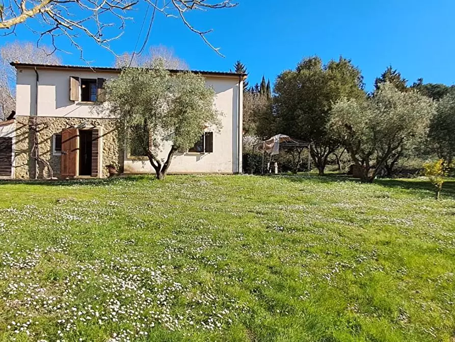 Immagine 2 di Casa colonica in vendita  a Montescudaio