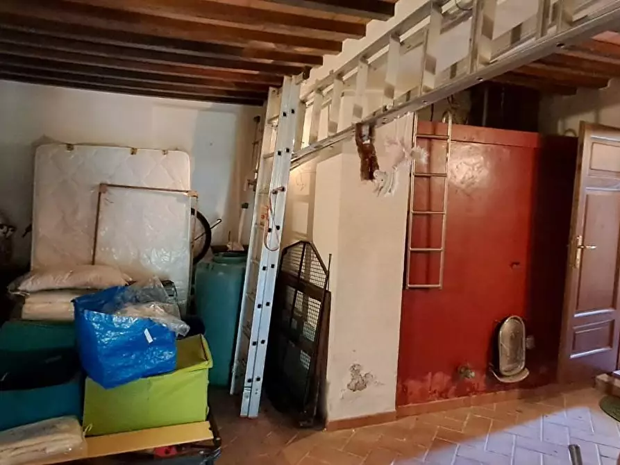 Immagine 23 di Casa colonica in vendita  a Montescudaio