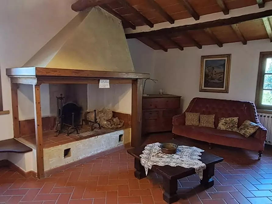 Immagine 16 di Casa colonica in vendita  a Montescudaio