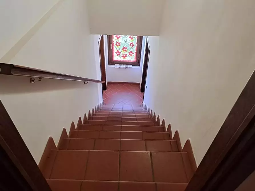 Immagine 14 di Casa colonica in vendita  a Montescudaio