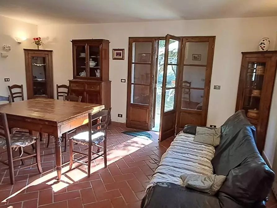 Immagine 7 di Casa colonica in vendita  a Montescudaio