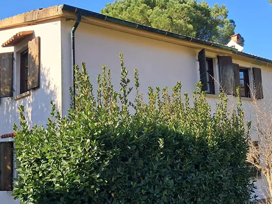 Immagine 5 di Casa colonica in vendita  a Montescudaio