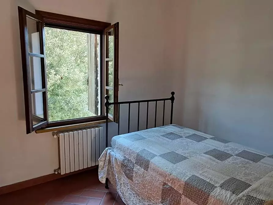 Immagine 20 di Casa colonica in vendita  a Montescudaio