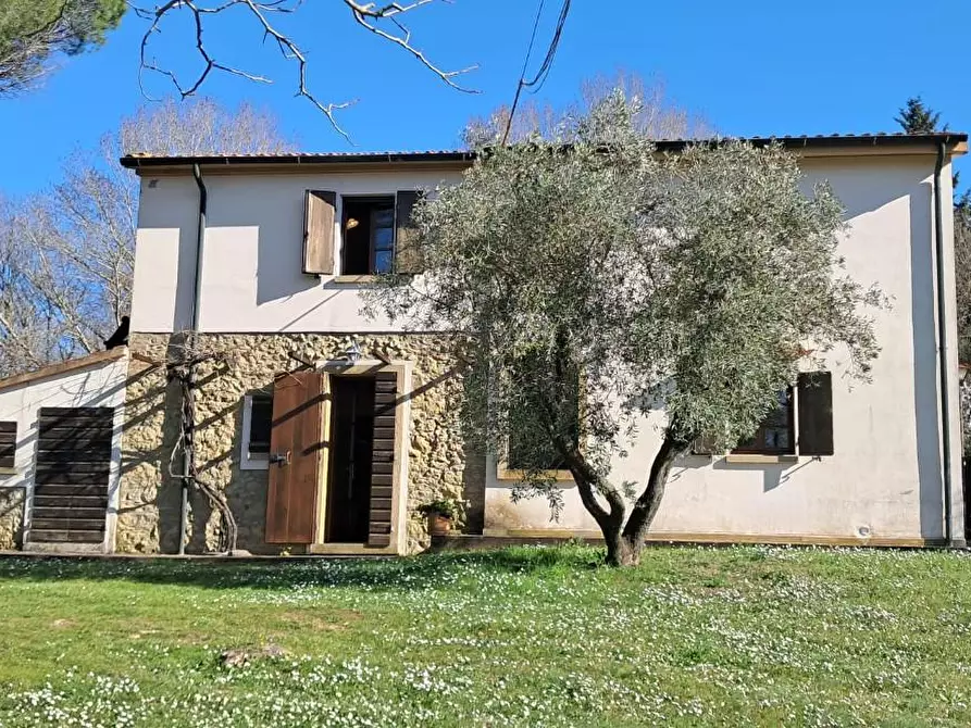 Immagine 29 di Casa colonica in vendita  a Montescudaio