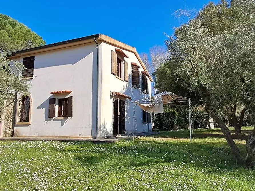 Immagine 12 di Casa colonica in vendita  a Montescudaio