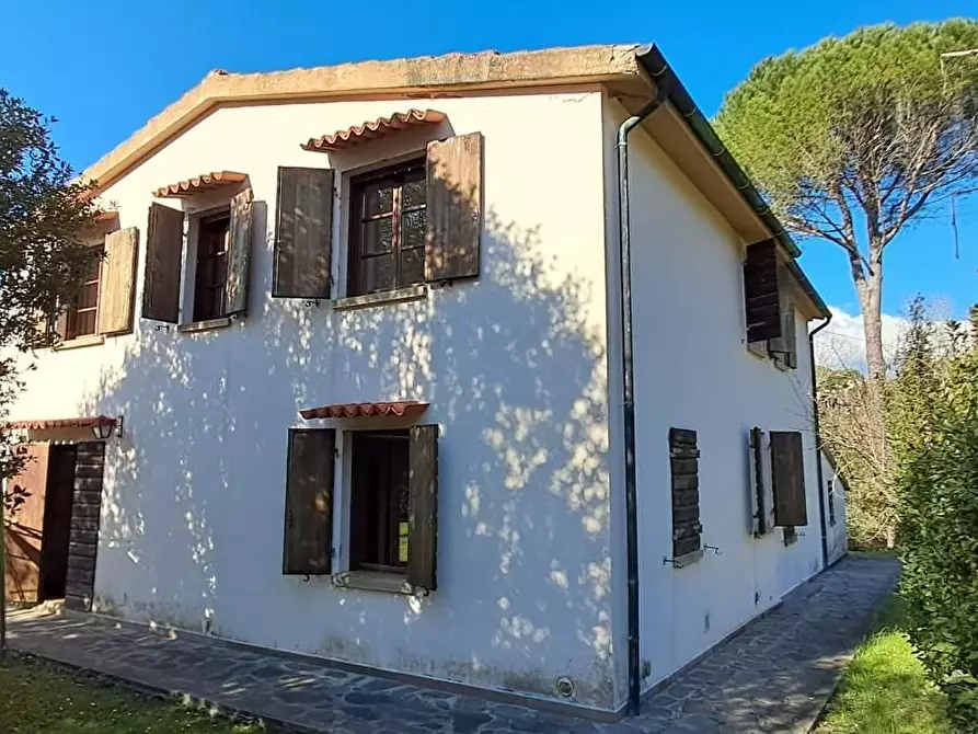 Immagine 4 di Casa colonica in vendita  a Montescudaio