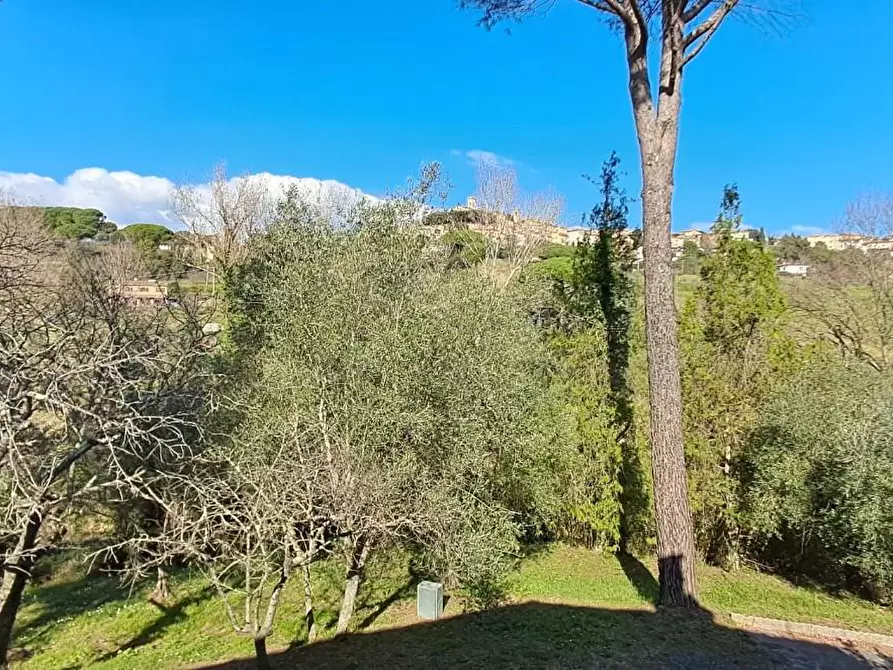 Immagine 17 di Casa colonica in vendita  a Montescudaio