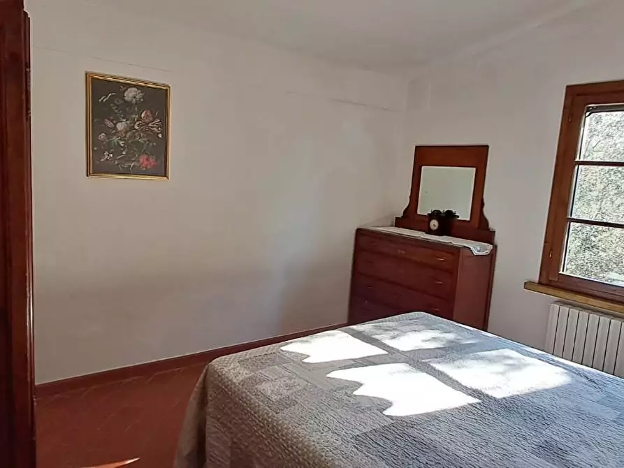 Immagine 19 di Casa colonica in vendita  a Montescudaio