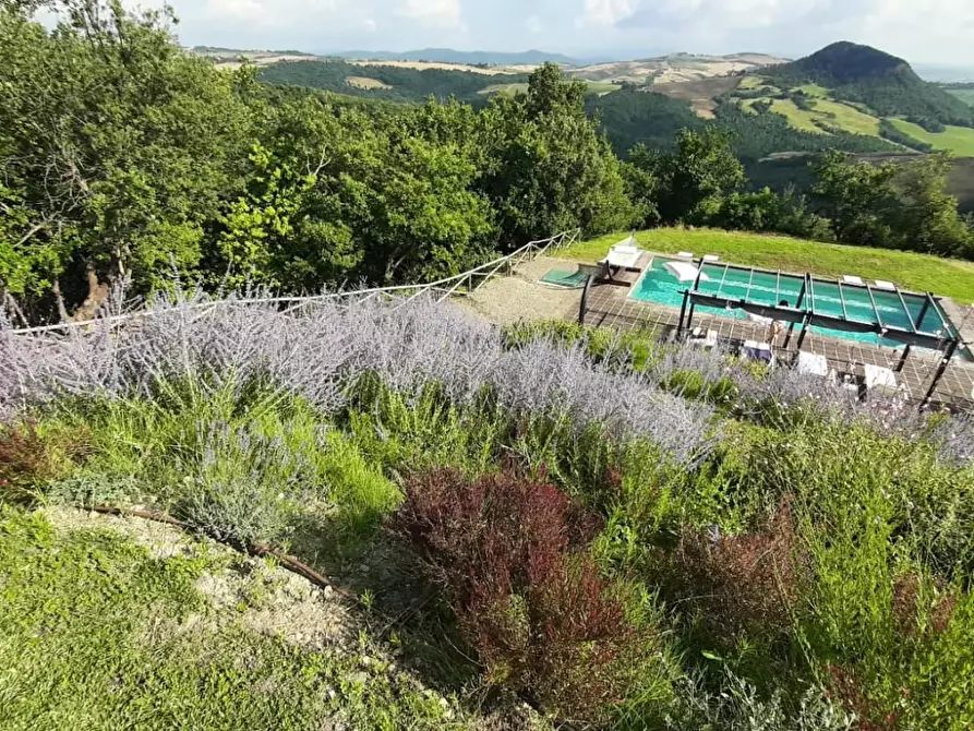 Immagine 5 di Villa in vendita  a Volterra