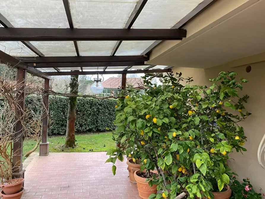 Immagine 20 di Villa in vendita  a Pontedera