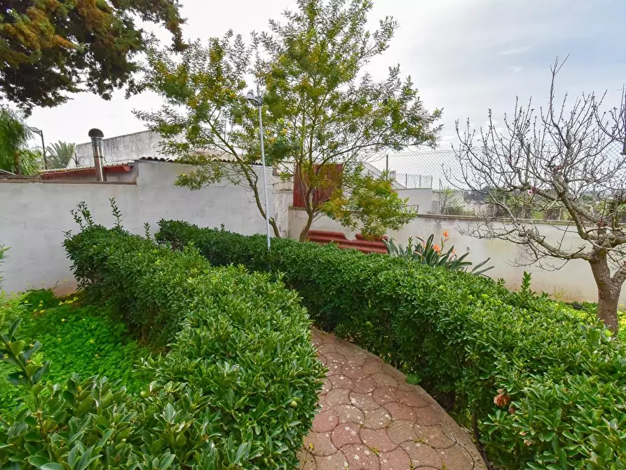 Immagine 29 di Villa in vendita  a Porto Cesareo