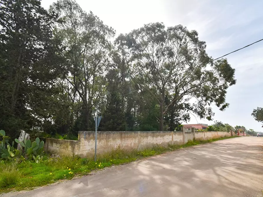 Immagine 43 di Villa in vendita  a Porto Cesareo