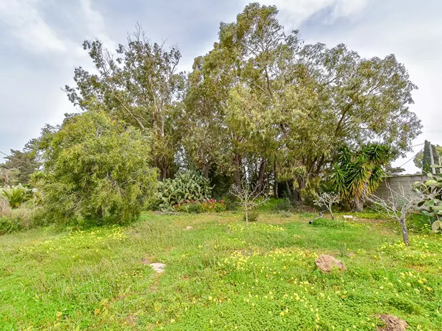 Immagine 36 di Villa in vendita  a Porto Cesareo