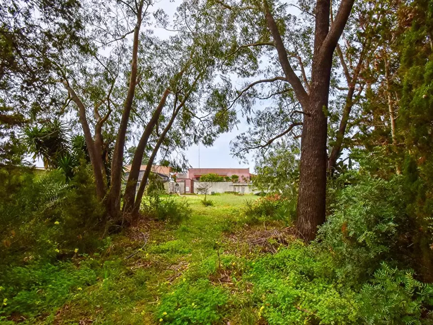 Immagine 37 di Villa in vendita  a Porto Cesareo