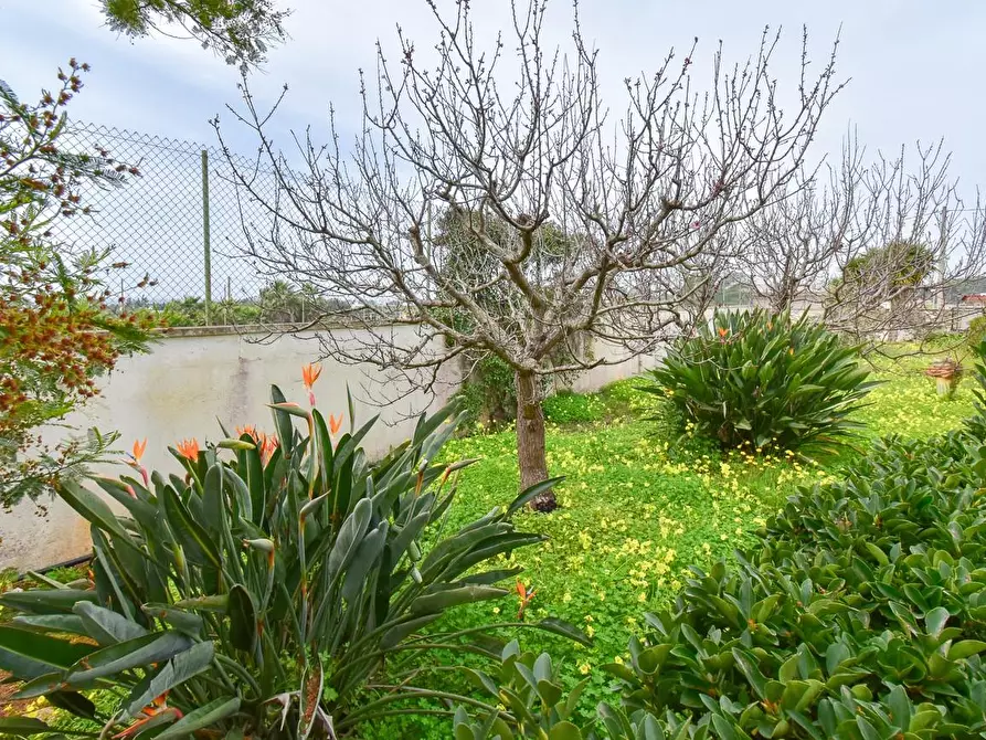 Immagine 30 di Villa in vendita  a Porto Cesareo