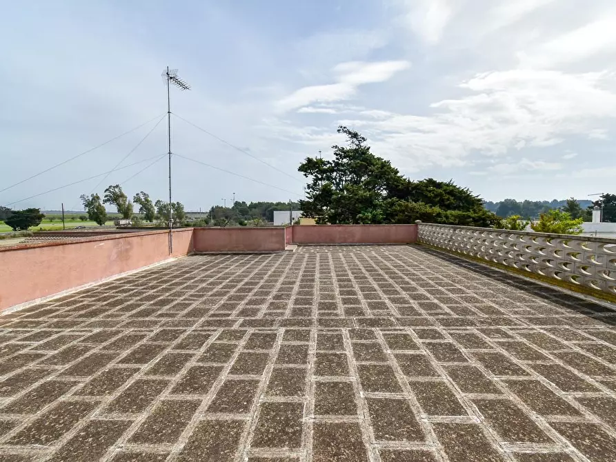 Immagine 47 di Villa in vendita  a Porto Cesareo