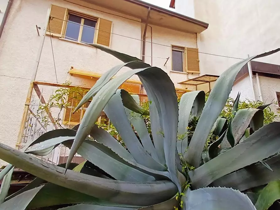 Immagine 2 di Villetta a schiera in vendita  a Massa