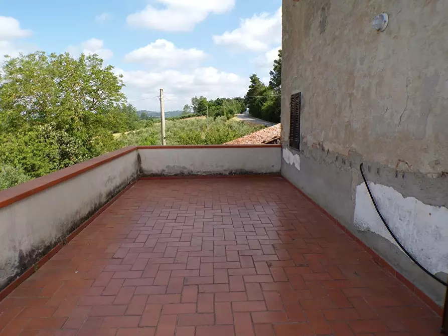 Immagine 57 di Casa colonica in vendita  a Palaia