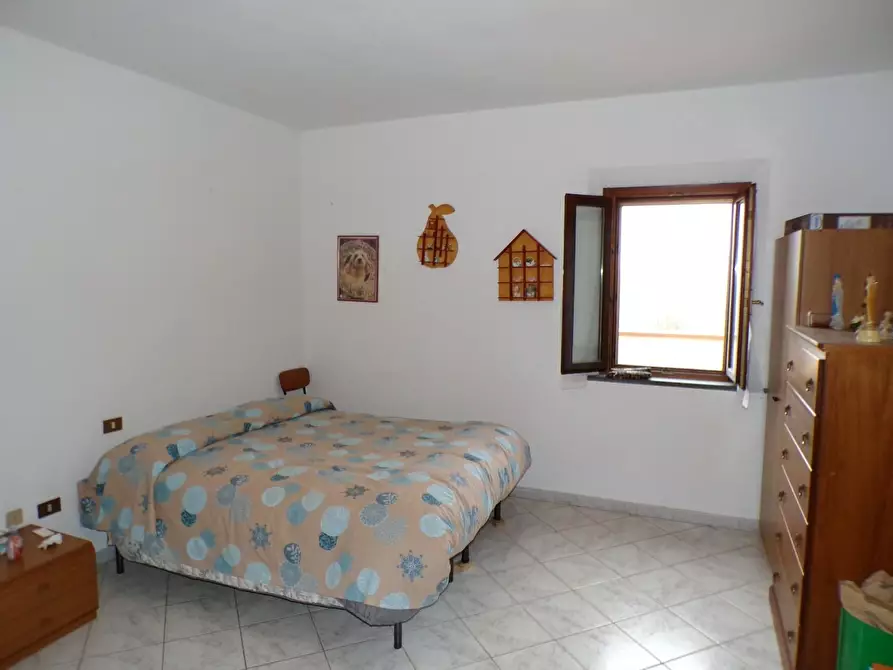 Immagine 13 di Casa colonica in vendita  a Palaia