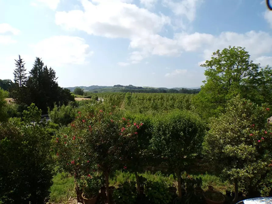 Immagine 50 di Casa colonica in vendita  a Palaia