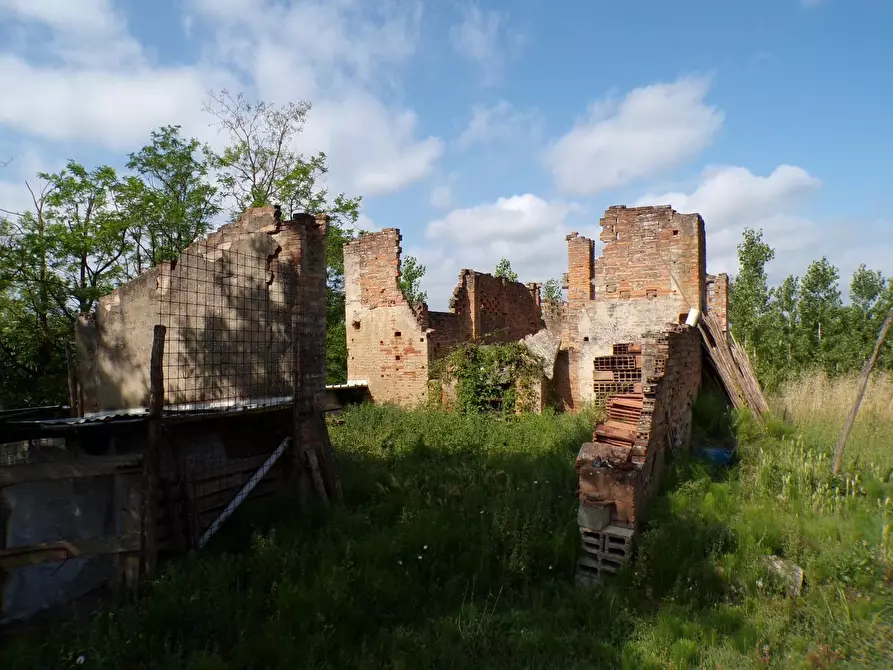 Immagine 33 di Casa colonica in vendita  a Palaia