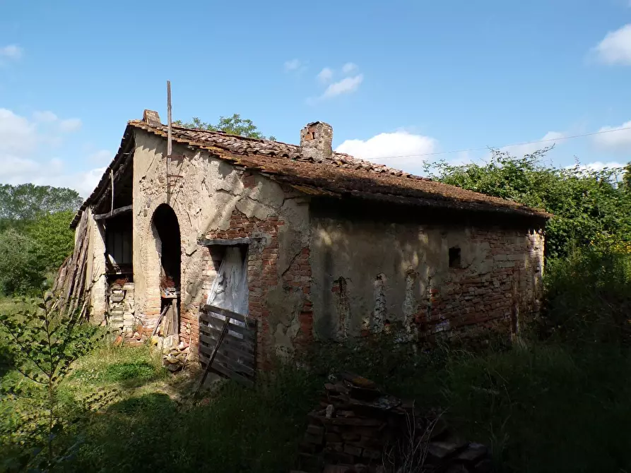 Immagine 38 di Casa colonica in vendita  a Palaia