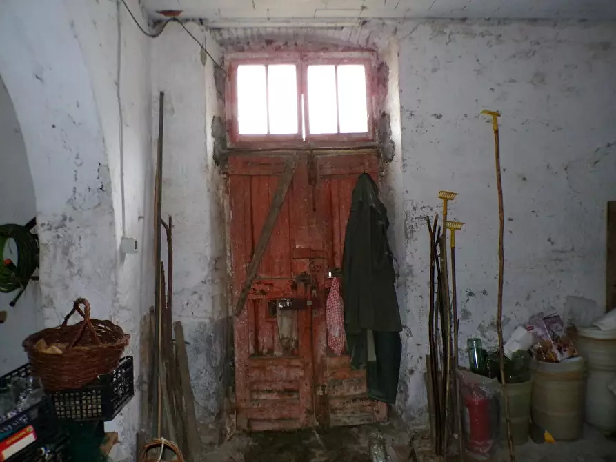 Immagine 4 di Casa colonica in vendita  a Palaia