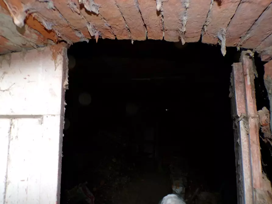 Immagine 22 di Casa colonica in vendita  a Palaia