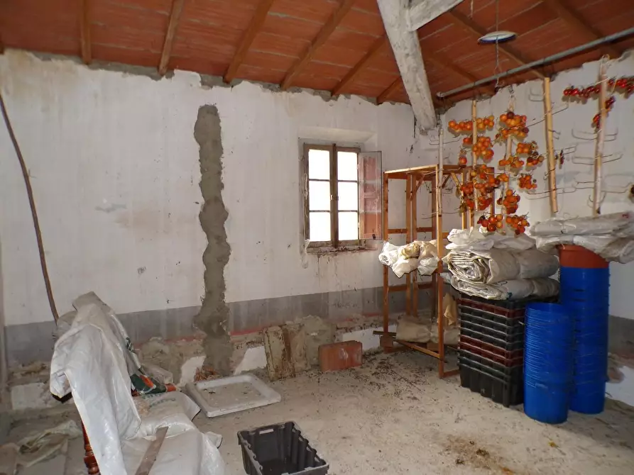 Immagine 31 di Casa colonica in vendita  a Palaia
