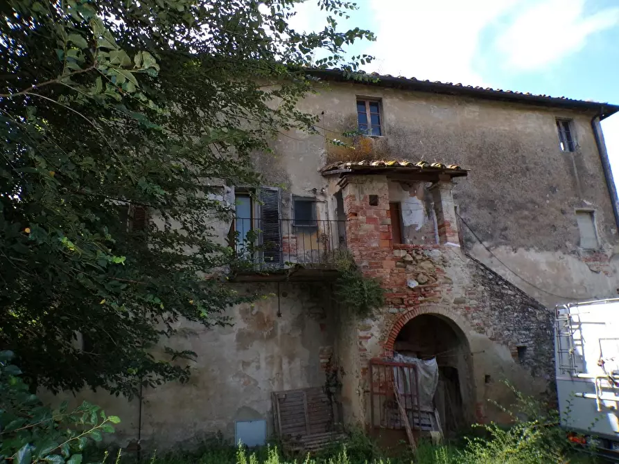 Immagine 40 di Casa colonica in vendita  a Palaia