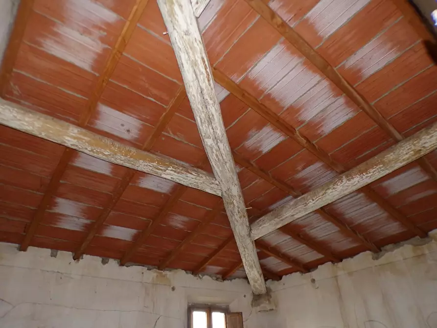 Immagine 26 di Casa colonica in vendita  a Palaia