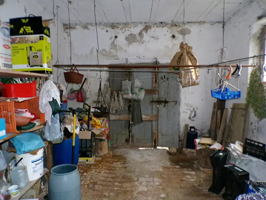 Immagine 2 di Casa colonica in vendita  a Palaia
