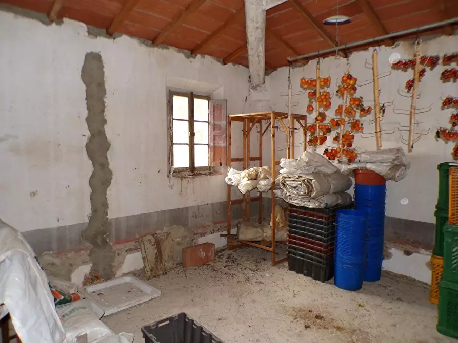 Immagine 29 di Casa colonica in vendita  a Palaia