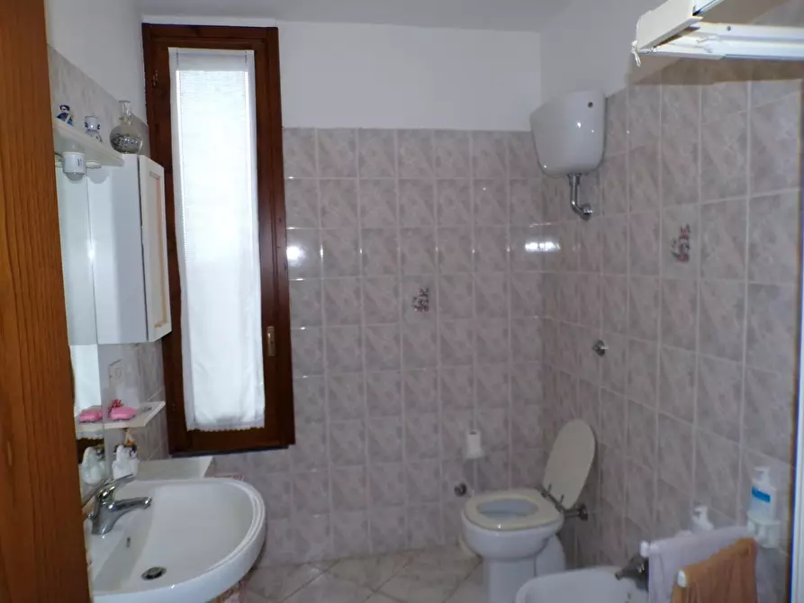 Immagine 16 di Casa colonica in vendita  a Palaia