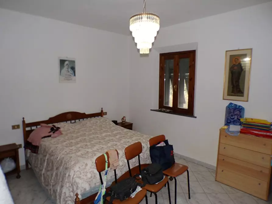 Immagine 19 di Casa colonica in vendita  a Palaia