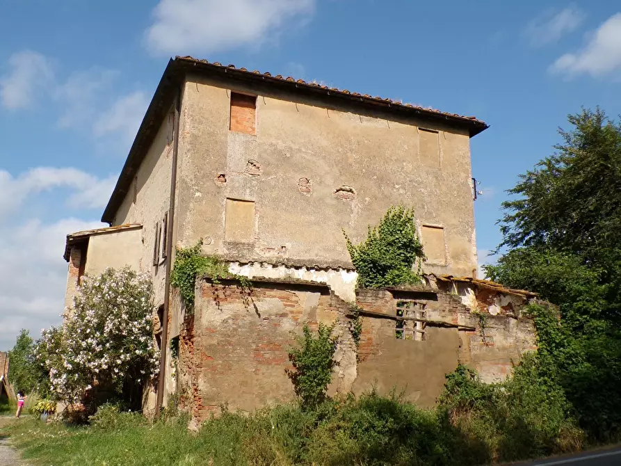 Immagine 47 di Casa colonica in vendita  a Palaia