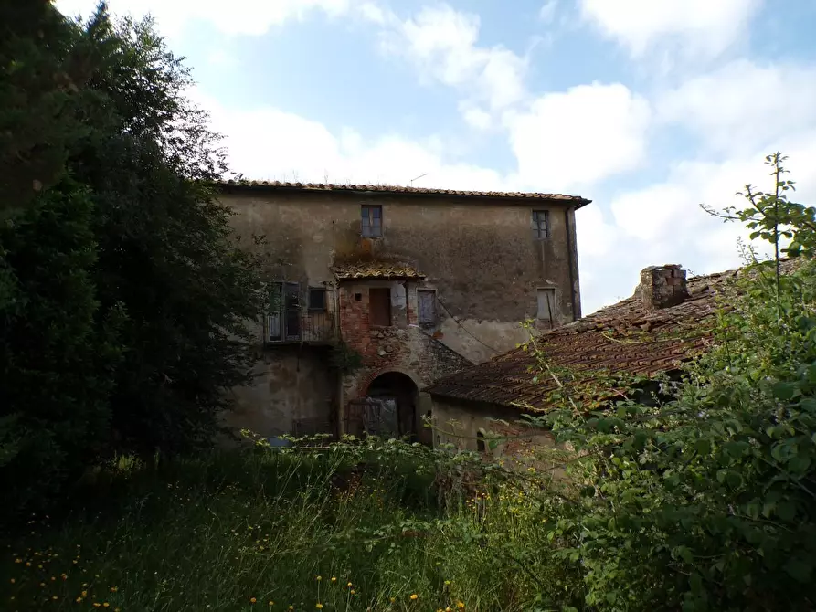 Immagine 41 di Casa colonica in vendita  a Palaia