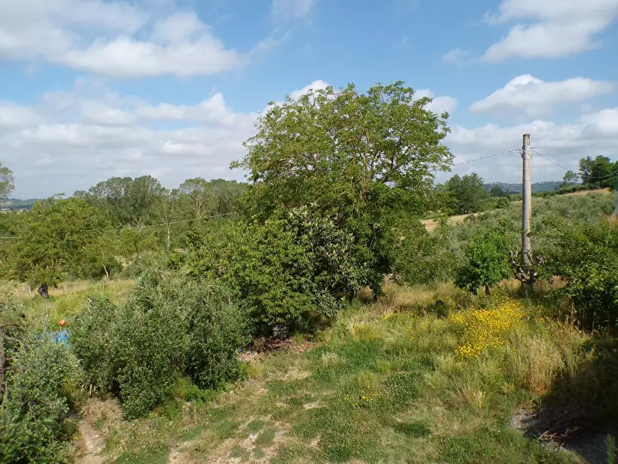 Immagine 56 di Casa colonica in vendita  a Palaia