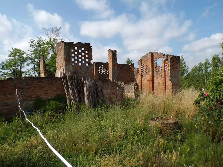Immagine 35 di Casa colonica in vendita  a Palaia