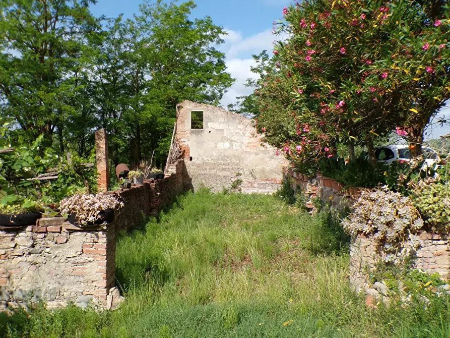 Immagine 44 di Casa colonica in vendita  a Palaia