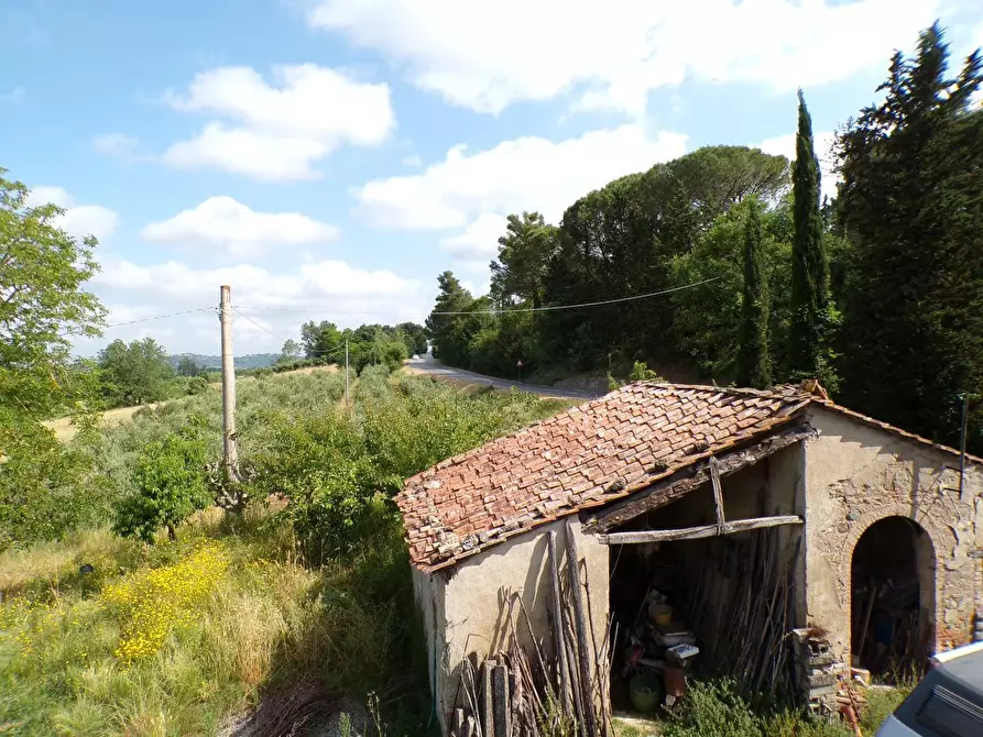 Immagine 55 di Casa colonica in vendita  a Palaia