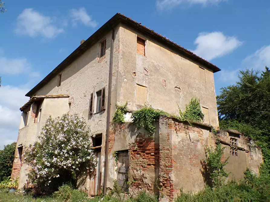 Immagine 46 di Casa colonica in vendita  a Palaia