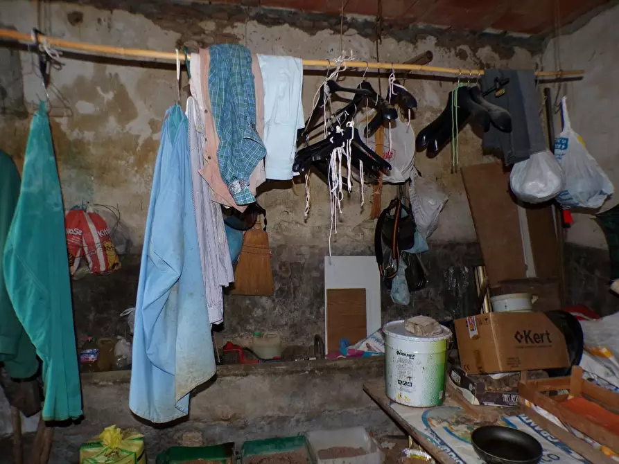 Immagine 6 di Casa colonica in vendita  a Palaia