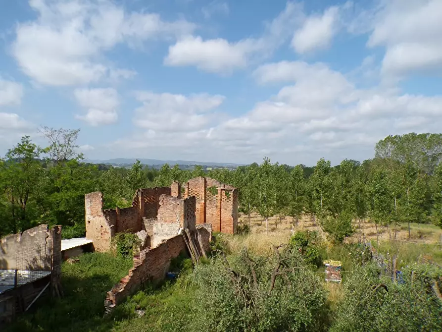Immagine 52 di Casa colonica in vendita  a Palaia