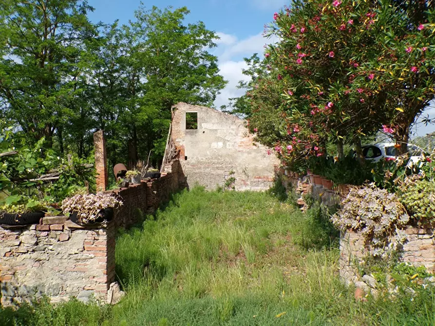 Immagine 45 di Casa colonica in vendita  a Palaia